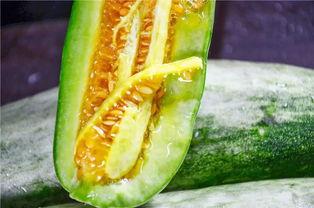 一起吃网红瓜,一场舌尖上的社交狂欢