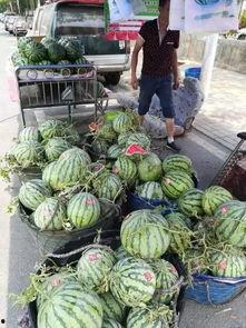 鞍山网红吃瓜事件